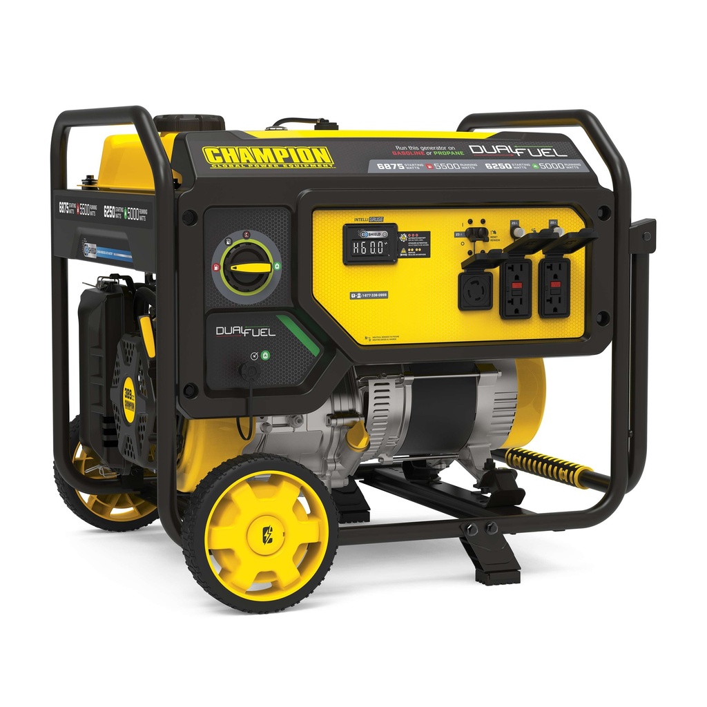 Champion 5500-Watt Dual Fuel Portable Generator with CO Shield®